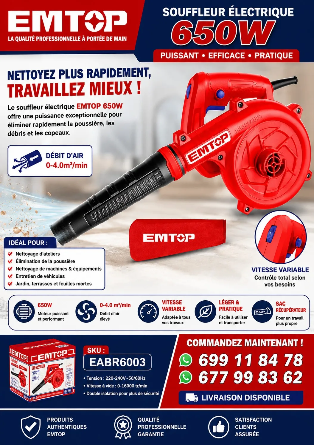 Souffleur Électrique 650W EMTOP EABR6003